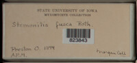Image Associated With the Occurence